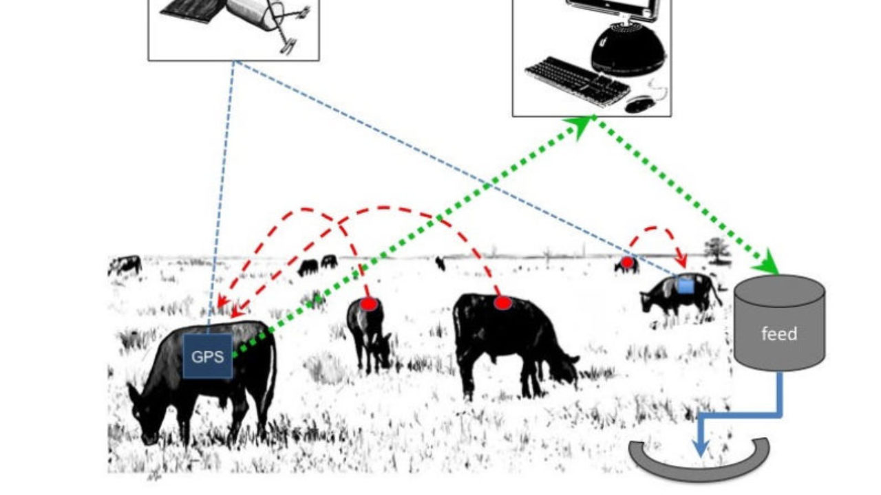 Big data in ranching and animal husbandry Big data in ranching and animal husbandry