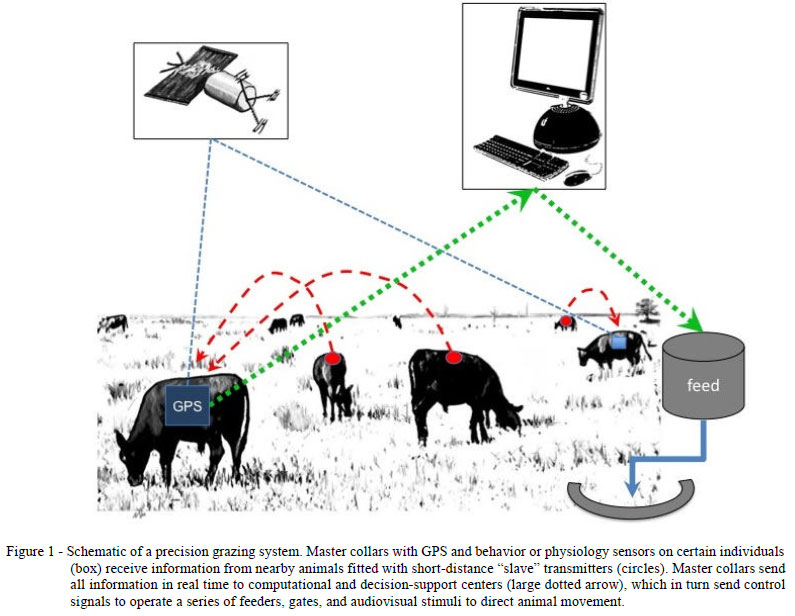 Big data in ranching and animal husbandry Big data in ranching and animal husbandry