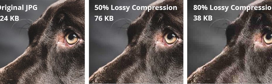 1_2FGlnjWYX2o3XjBOFkO1A