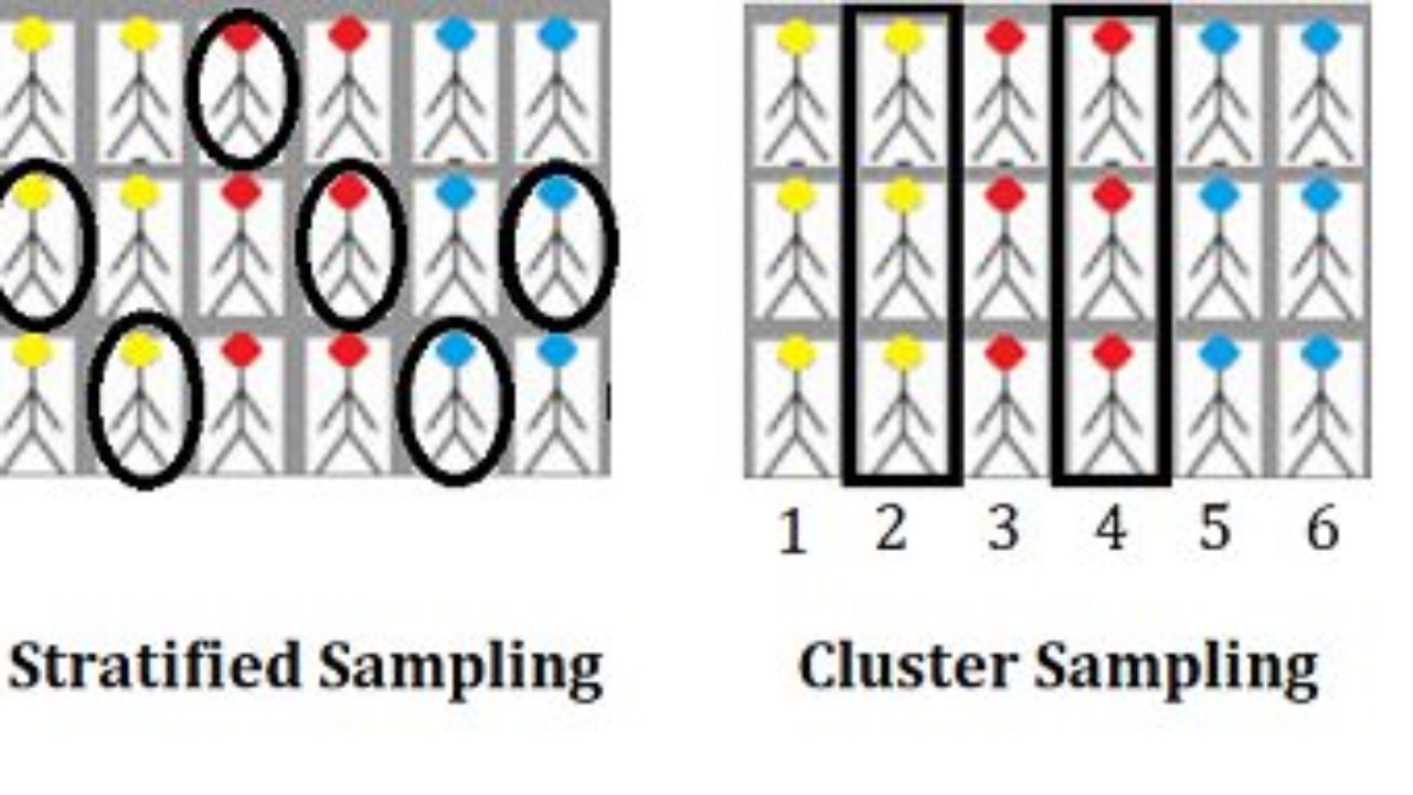 Stratified Sampling Diagram