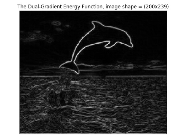 energy_000dolphin.jpg