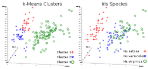 machine learning algorithms