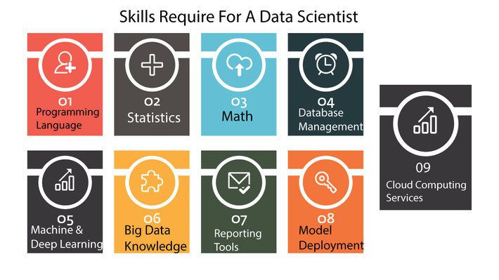 data scientist job education requirements