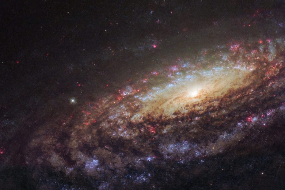 Amazing-Hubble-Image-of-Spiral-Galaxy-NGC-7331