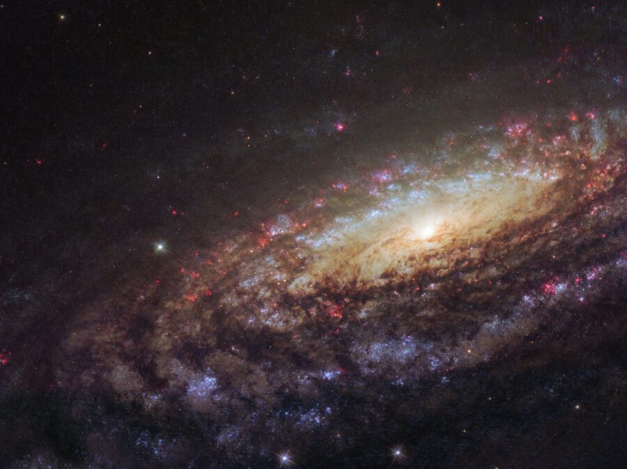 Amazing-Hubble-Image-of-Spiral-Galaxy-NGC-7331