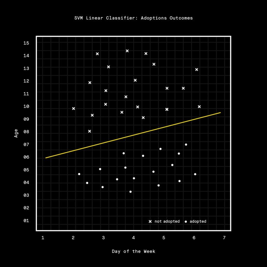 Pet-Adoption-Graph-2