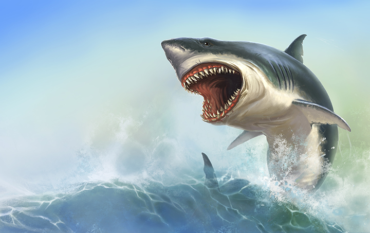 Facebook, Social Media, and Jumping Sharks