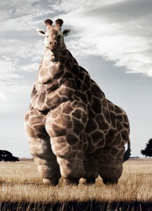 fat_giraffe_ANN