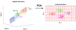 machine learning algorithms