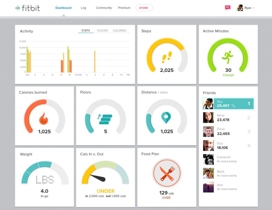 fitbit-online-dashboard