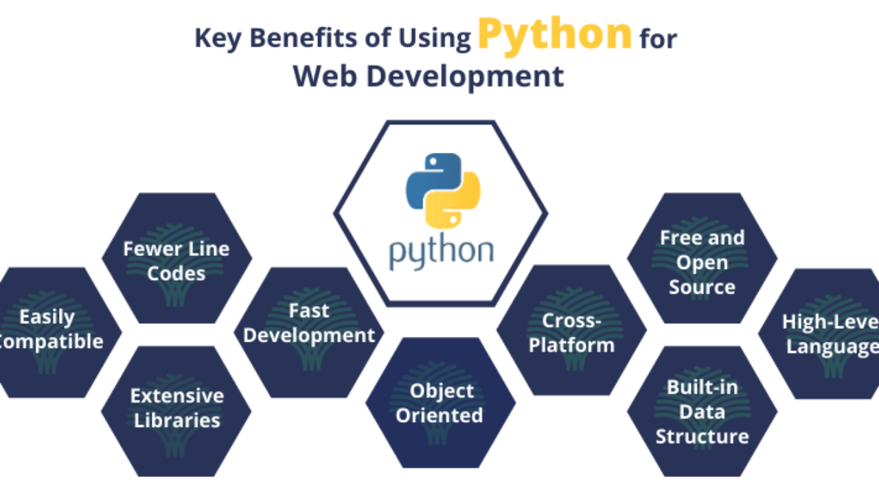 Python web development. Python in web development. python or web development. web development and python club. product python.