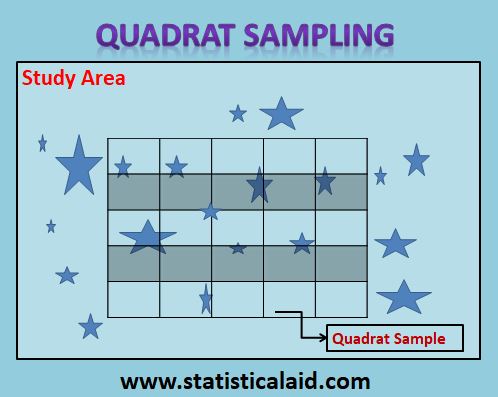 quadrat