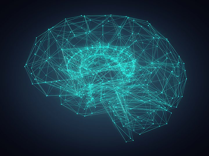 3d Illustration of a human brain consisting of lines and polygon