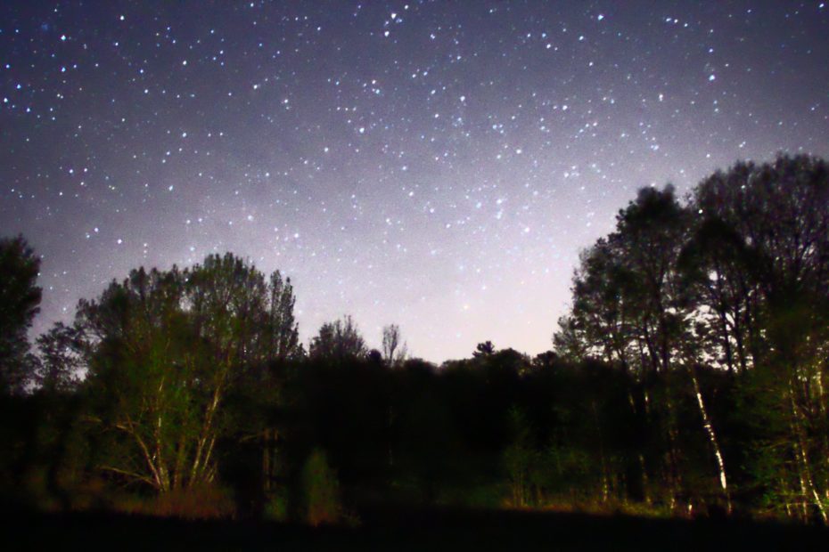 Night_Sky_Stars_Trees_01