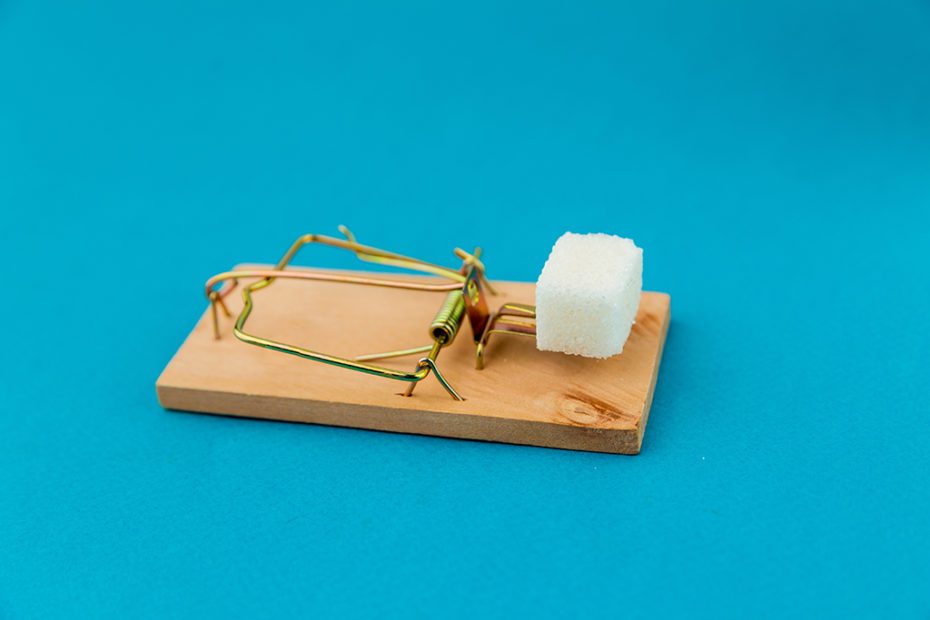 Sugar on the trap isolated on the blue background. Sweet is bad concept.