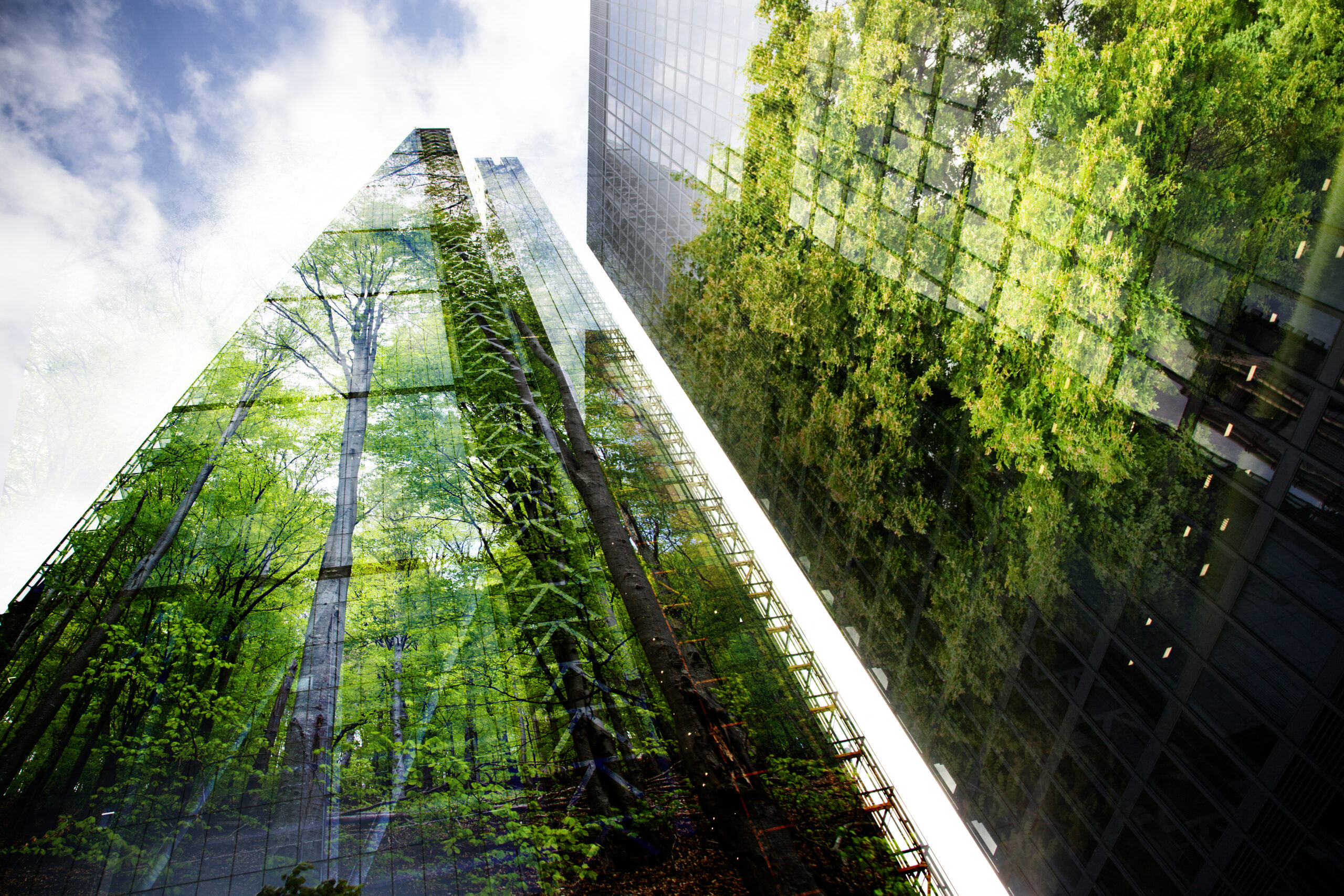 green city – double exposure of lush green forest and modern sky
