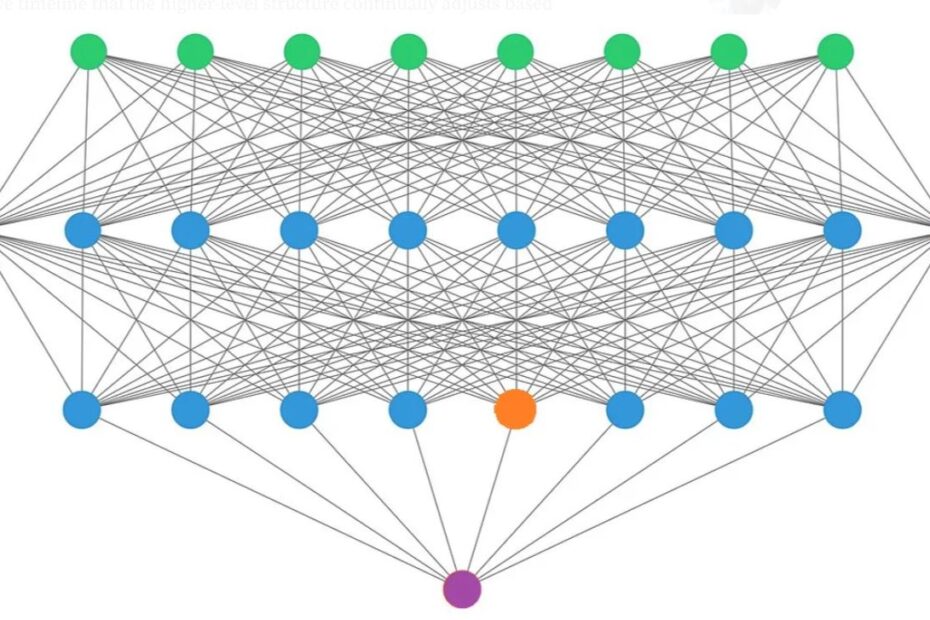 The-observer-effet-fig2