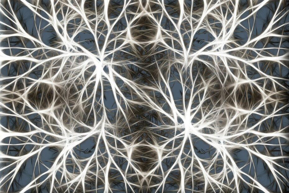 neurons-582054_1280