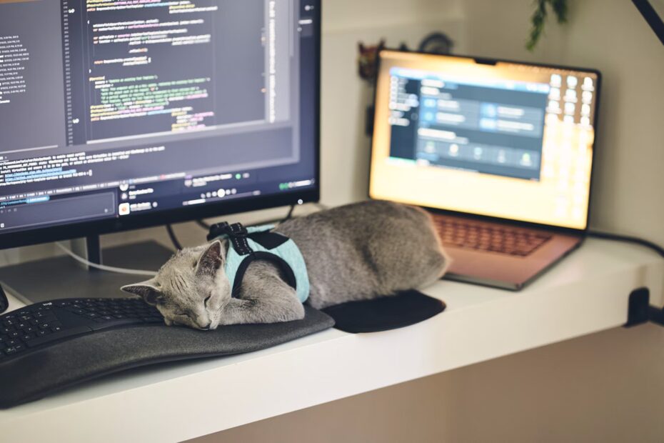 How to Make AI Work in QA